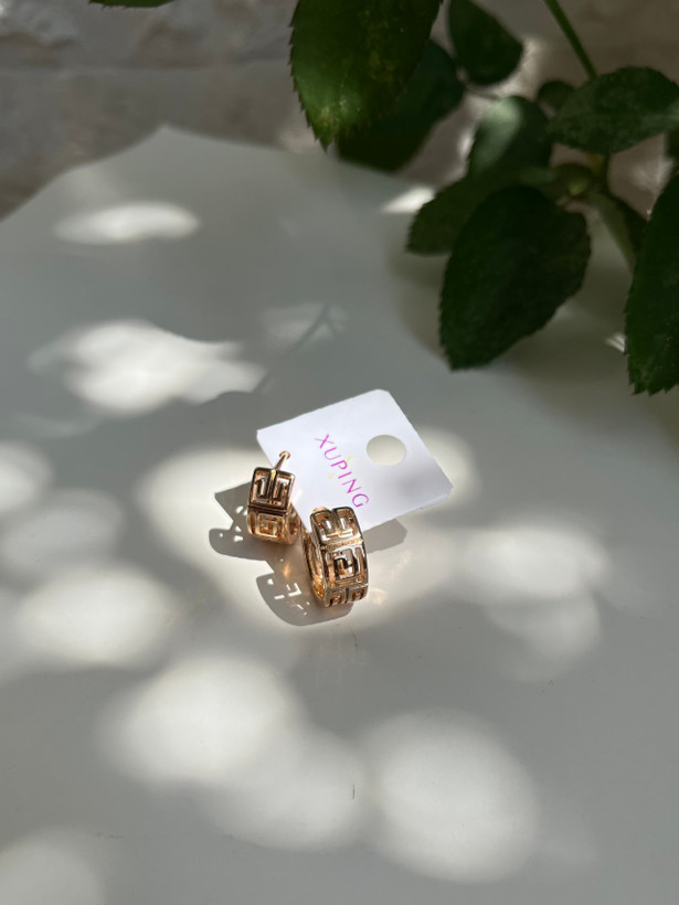 گوشواره حلقه ای طرح ور*ساچ ژوپینگ ضد حساسیت